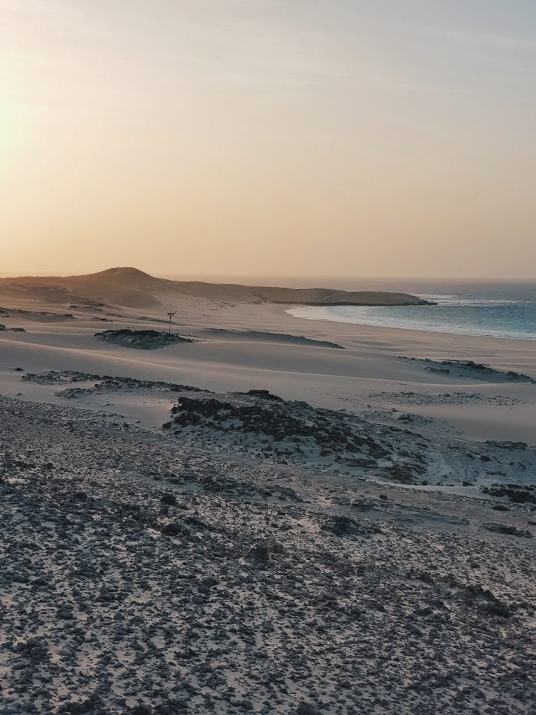 boa vista desert